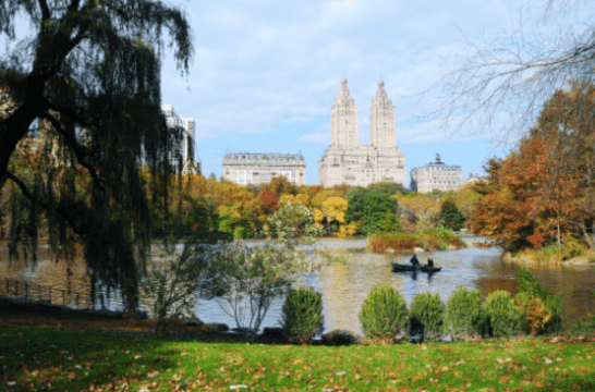 Legal and Home Paternity Testing Mankato